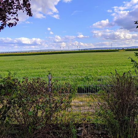Grosse Schoenheit Mit Panoramablick Euskirchen Extérieur photo